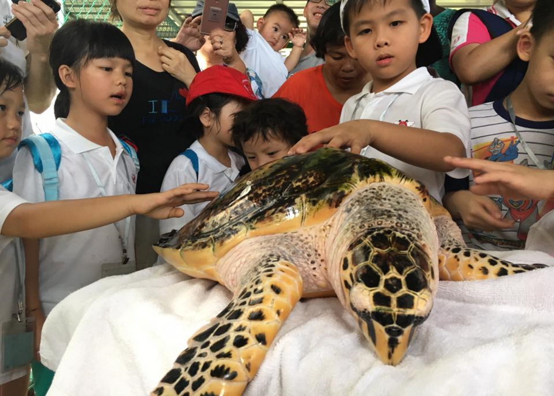 良冷生态农场和波德申之亲子家庭日 AD