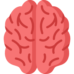 Right Brain Visual Learning Method